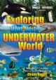 Exploring the Wet & Wild Underwater World: Marvels of Creation from a Torah Perspective